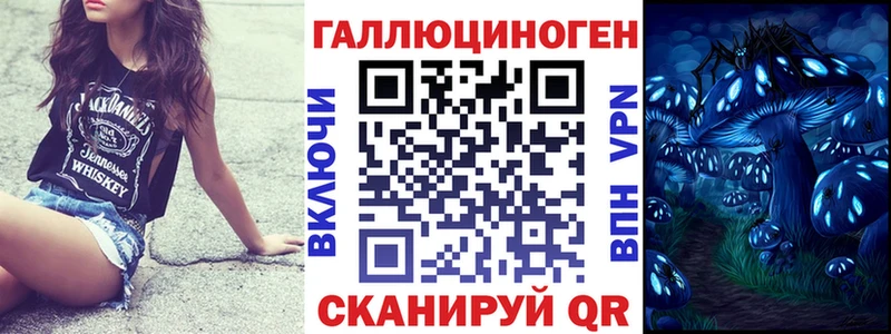 Купить закладки  Закаменск  Галлюциногенные грибы MAGIC MUSHROOMS 